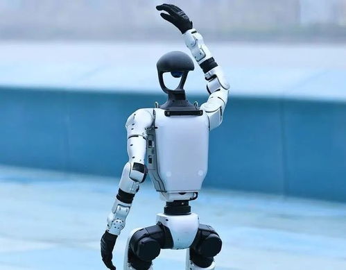 人形機器人產業(yè)迎來爆發(fā)期，宇樹科技啟動IPO引領行業(yè)新浪潮